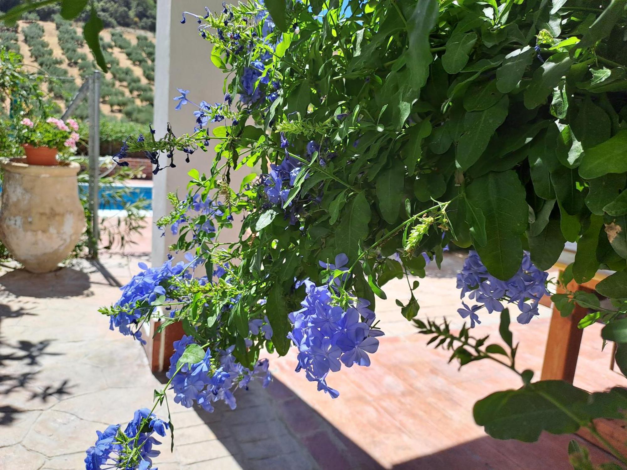 Cortijo Berruguilla Villa Lojilla Buitenkant foto